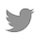twitter_icon