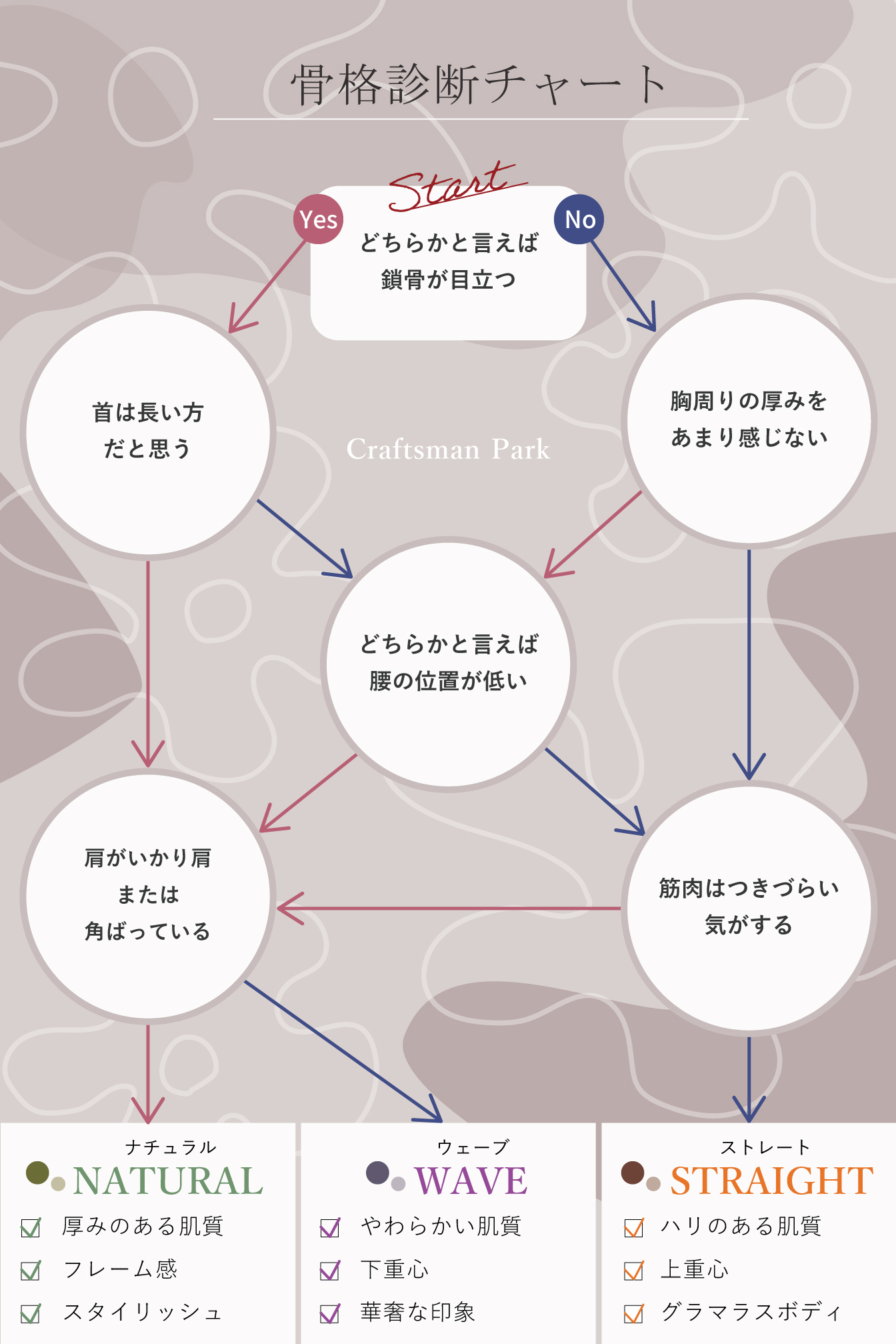 骨格診断チャート