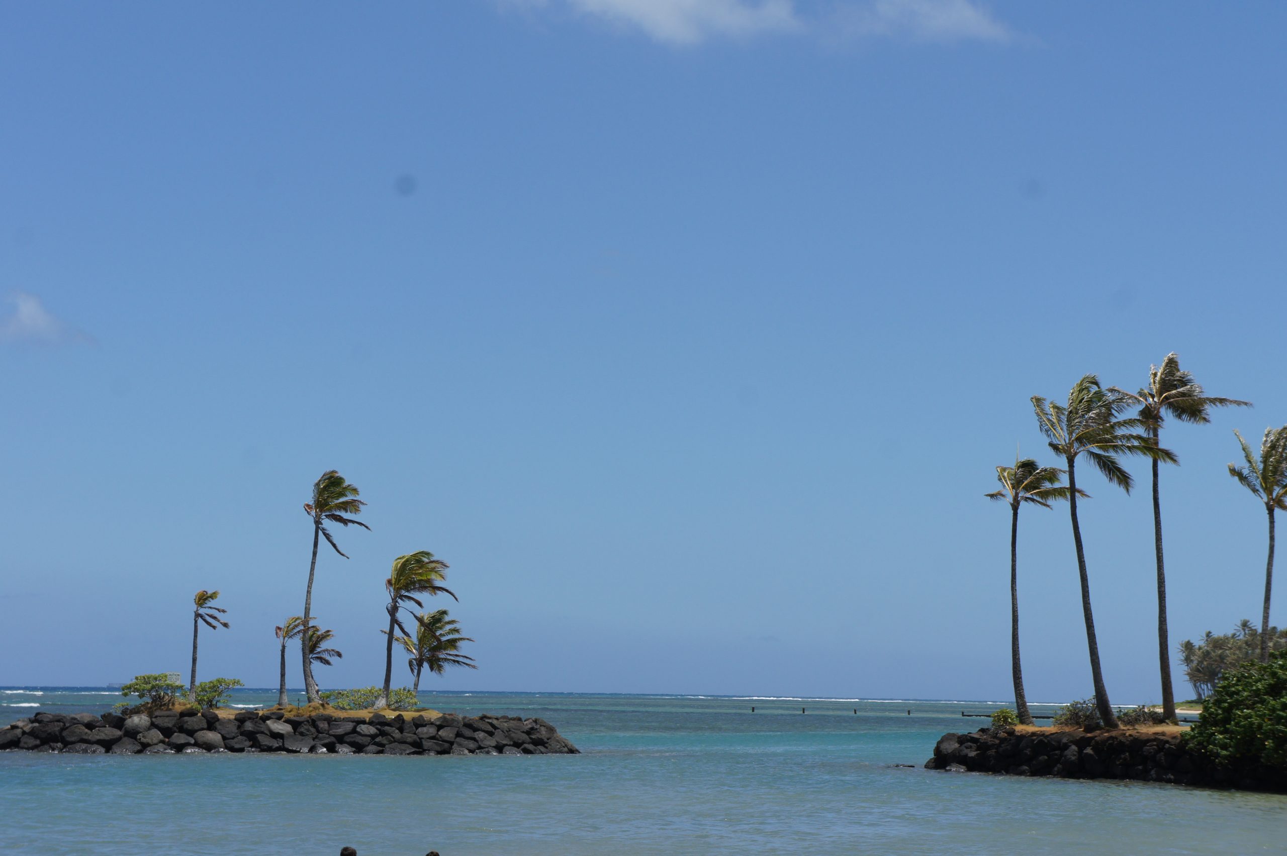 ハワイ観光KAHARAhotel